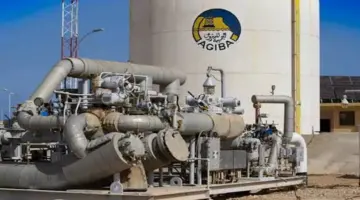 330 مليار قدم غاز و10 ملايين برميل.. كشف ضخم لعجيبة للبترول