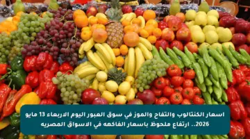 أسعار الكنتالوب والتفاح والموز في سوق العبور اليوم الأربعاء 13 مايو 2026.. ارتفاع ملحوظ بأسعار الفاكهة في الأسواق المصرية