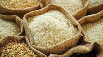 أسعار الأرز في 18 مايو: لا يزال سعر تصدير الأرز الفيتنامي مرتفعاً عند 520 دولاراً للطن.