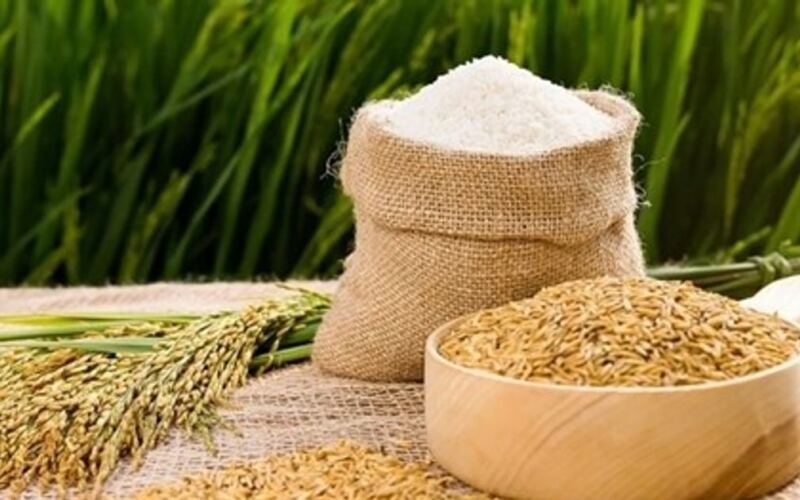 أسعار الأرز في 29 مايو: لا يزال سعر الأرز الطازج مرتفعاً عند 6700 دونغ فيتنامي/كجم، والتداول بطيء.