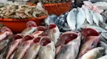 أسعار الأسماك والمأكولات البحرية في سوق العبور اليوم الجمعة