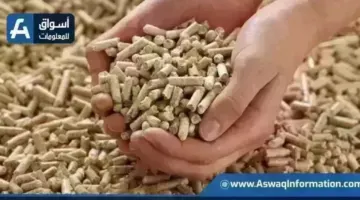 أسعار الأعلاف اليوم الإثنين عند التاجر.. طن العلف وصل لكام | أسعار السلع