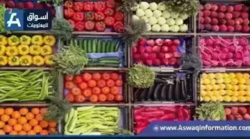 أسعار الطماطم والخضروات في أول أيام عيد الأضحى بسوق العبور تعرف على الأسعار الجديدة