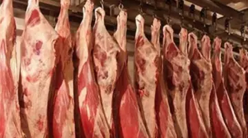 ارتفاع أسعار اللحوم والجبن الأبيض في الأسواق (موقع رسمي)