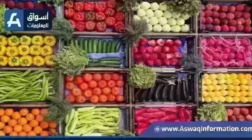 ارتفاع البصل.. أسعار الخضراوات اليوم الإثنين بسوق العبور | أسعار السلع