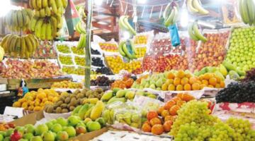 ارتفاع اليوسفي، أسعار الفاكهة اليوم الخميس 14 مايو 2026