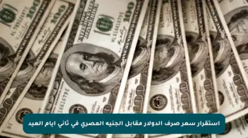 استقرار سعر صرف الدولار مقابل الجنيه المصري في ثاني أيام العيد
