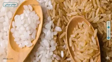 استقرار أسعار الأرز الشعير في الأسواق المصرية اليوم