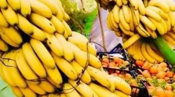 استقرار أسعار الفاكهة فى الأقصر اليوم السبت.. كيلو الموز البلدى بـ35 جنيها