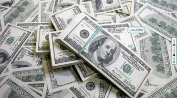 استقرار سعر الدولار أمام الجنيه المصري اليوم الأحد 17 مايو 2026