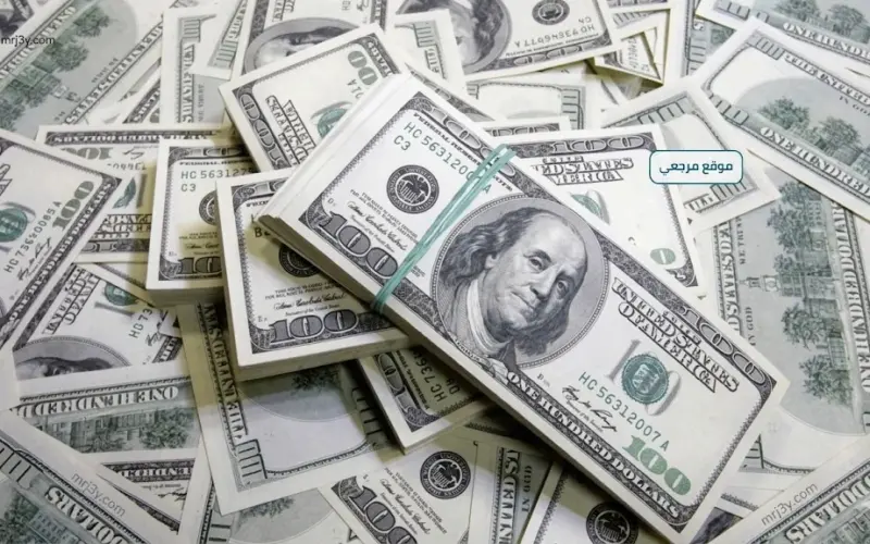 استقرار سعر الدولار أمام الجنيه المصري اليوم الأحد 17 مايو 2026