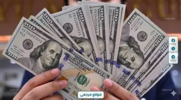 استقرار سعر الدولار أمام الجنيه في البنوك المصرية اليوم