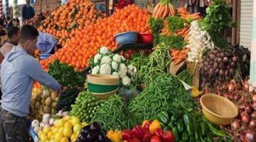 اسعار الخضروات والفواكه اليوم الاحد 17 مايو 2026 فى المنوفية – مقالات نيوز