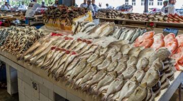 البلطي والبوري والكابوريا.. أسعار الأسماك والمأكولات البحرية اليوم الجمعة