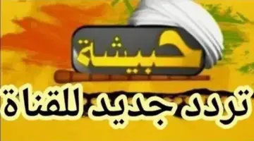التردد الجديد لقناة حبيشة على النايل سات 2026 كل الأفلام في مكان واحد