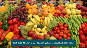 الخوخ بكام النهاردة؟.. أسعار الفاكهة اليوم الأحد 31 مايو 2026