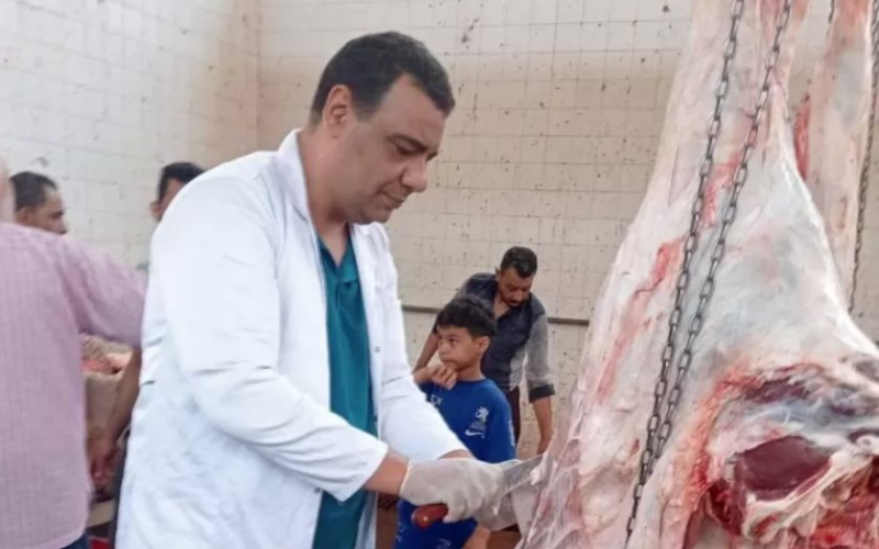 ”الزراعة”: ذبح 35.5 ألف أضحية خلال أيام العيد مجانًا بالمجازر الحكومية| صور | بوابة الزراعة
