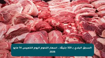 السجق البلدي بـ 320 جنيهًا.. أسعار اللحوم اليوم الخميس 14 مايو 2026