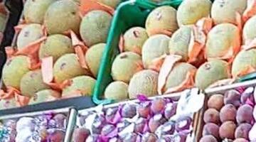 الموز يبدأ من 25 والكنتالوب بــ15جنيها بأسواق سوهاج اليوم