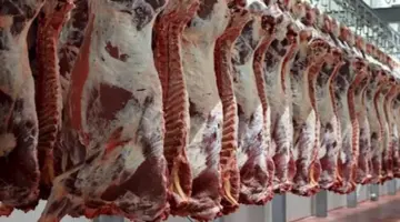 انخفاض أسعار اللحوم والجبن الأبيض في الأسواق (موقع رسمي)