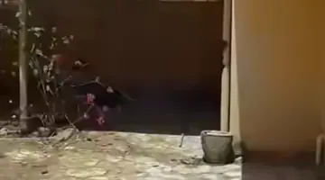 بالدموع.. مطرب سوداني يوثق عودته إلى منزله في الخرطوم بعد الحرب