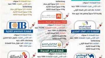بعد تثبيت أسعار الفائدة.. أعلى شهادات الادخار فى البنوك – مقالات نيوز