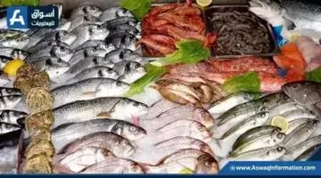 بكام البوري.. أسعار السمك ثاني أيام عيد الأضحى بسوق العبور | أسعار السلع