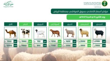 بيئة الرياض: وفرة كبيرة في الأضاحي واستقرار بالأسعار مع تعزيز الجولات الرقابية