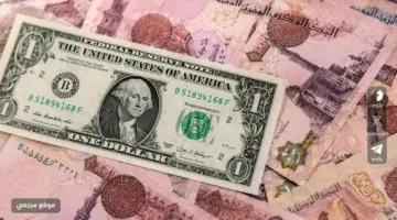  تحديث الأخضر.. أسعار الدولار الآن أمام الجنيه المصري في البنك الأهلي ومصر والبنك المركزي.