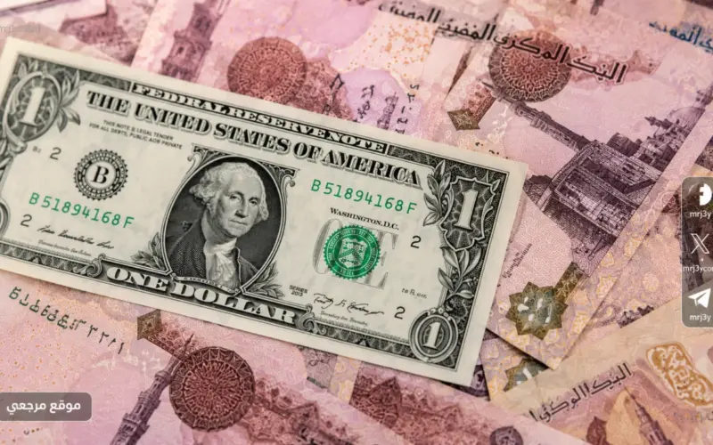  تحديث الأخضر.. أسعار الدولار الآن أمام الجنيه المصري في البنك الأهلي ومصر والبنك المركزي.