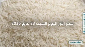 تحديث الاسعار.. سعر الأرز اليوم السبت 23 مايو 2026 تستقر رغم زيادة الطلب قبل عيد الأضحى