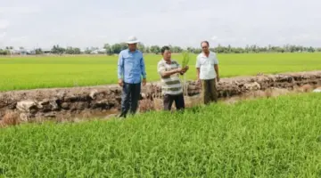 تعمل شركة ترام تشيم تدريجياً على بناء اقتصاد زراعي بيئي.