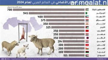 تفاوت ملحوظ في أسعار الأضاحي الحية بالأسواق.. والبقري والبرقي يسجلان الصدارة