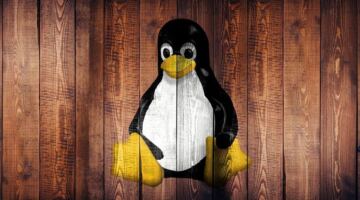 تم الكشف عن ثغرة أمنية رئيسية أخرى في Linux – وقد تؤدي مشكلة عمرها تسع سنوات إلى حدوث كارثة للمستخدمين