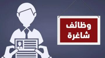 توفير 2554 فرصة عمل في 66 شركة خاصة.. شروط التقديم والأوراق المطلوبة