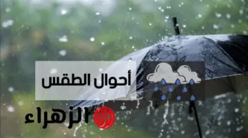 حالة الطقس في السعودية غداً الخميس.. “الأرصاد” تُحذر من أمطار رعدية وتقلبات جوية