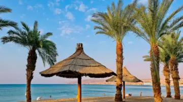 حصري: تقويم مدارس السعودية 2026-2027 يكشف عن 6 إجازات رسمية… هل تحجز رحلة عائلتك قبل ارتفاع الأسعار؟