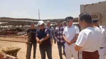  رئيس الجهاز: غلق 7 منشآت مخالفة بالعبور الجديدة