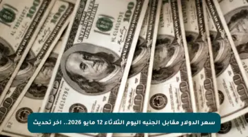 سعر الدولار مقابل الجنيه اليوم الثلاثاء 12 مايو 2026.. آخر تحديث
