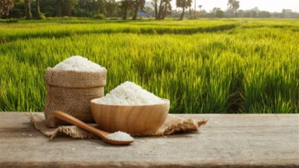 سعر الأرز بالسوق المحلية اليوم الثلاثاء