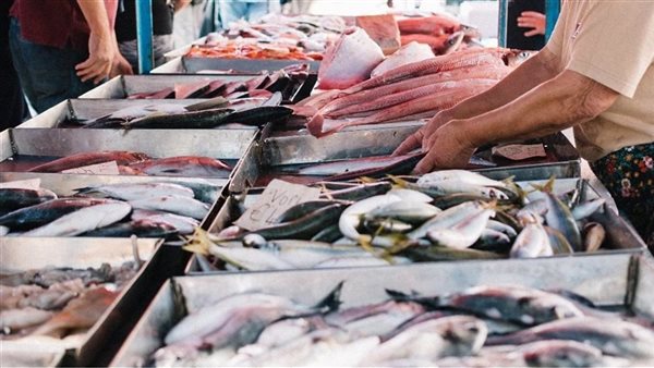 سعر السمك اليوم، ارتفاع المكرونة وقشر البياض 10 جنيهات وانخفاض جديد في البلطي