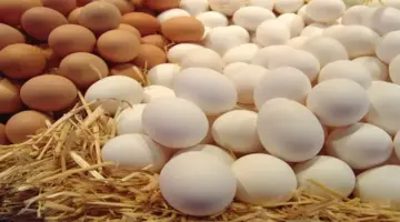 طبق البيض يهبط 45 جنيها بالأسواق خلال شهرين.. فما الأسباب؟