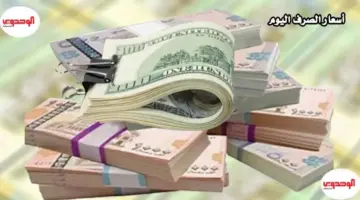 عاجل: انفجار أسعار الدولار في عدن مقابل صنعاء – صدمة بنسبة 300% في معدل الشراء!