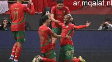 مباراة الناشئين وتنزانيا في نصف نهائي أمم أفريقيا موعد المباراة – مقالات نيوز
