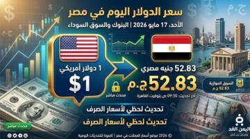 محدث : ارتفاع سعر الدولار في البنوك المصرية إلى 53 من أخر أسعار الدولار اليوم 17 مايو