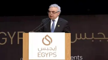 مدير وكالة الطاقة الدولية: أسواق النفط قد تدخل "المنطقة الحمراء"