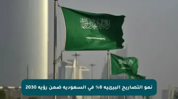 نمو التصاريح البيئية 6% في السعودية ضمن رؤية 2030