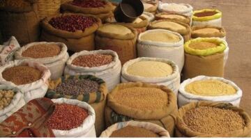 هبوط الخامات.. أسعار الأعلاف اليوم الإثنين 18-5-2026 -جريدة المال
