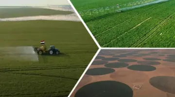 واف القابضة تشارك في مشروعات الدلتا الجديدة لتعزيز التنمية المستدامة
