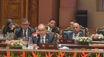 وزير الخارجية يقترح على ”بريكس” إنشاء مركز لوجستي للحبوب في شرق بورسعيد | اقتصاد